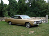 1967 Chevelle Super Sport 1967 Chevelle Super Sport